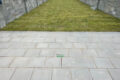 New Lawns