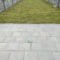 New Lawns